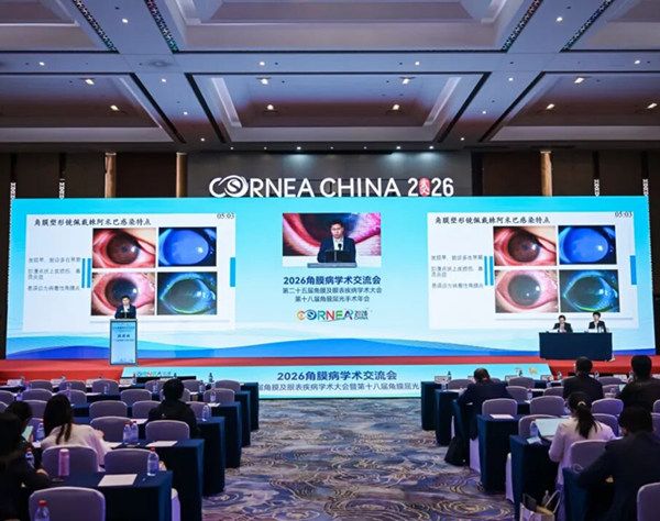 段虎成教授领衔！广东省区角膜眼表学组亮相2026角膜病学术交流会